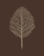 Creative Tree