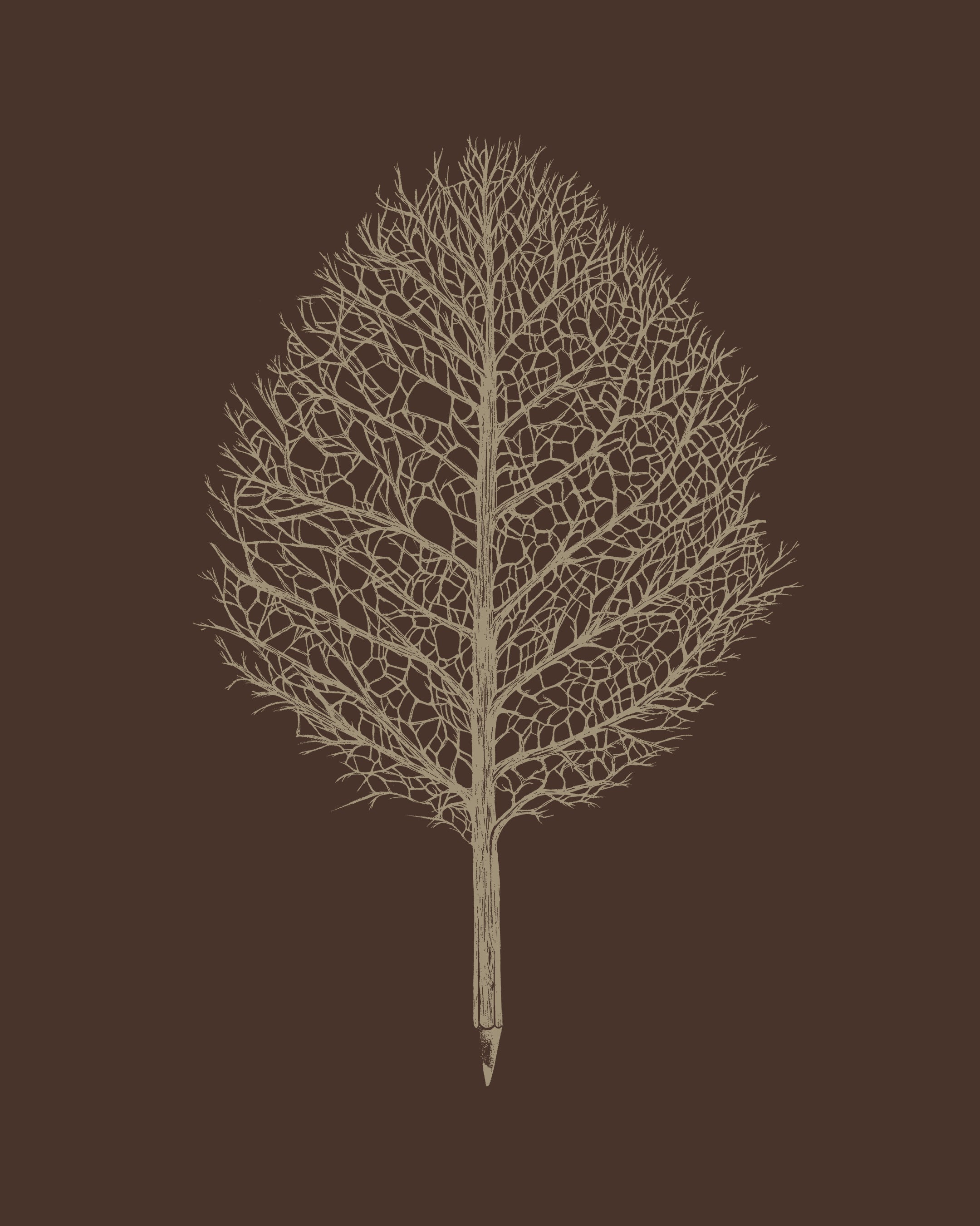 Creative Tree