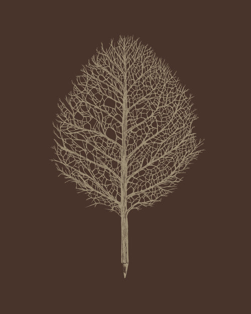 Creative Tree