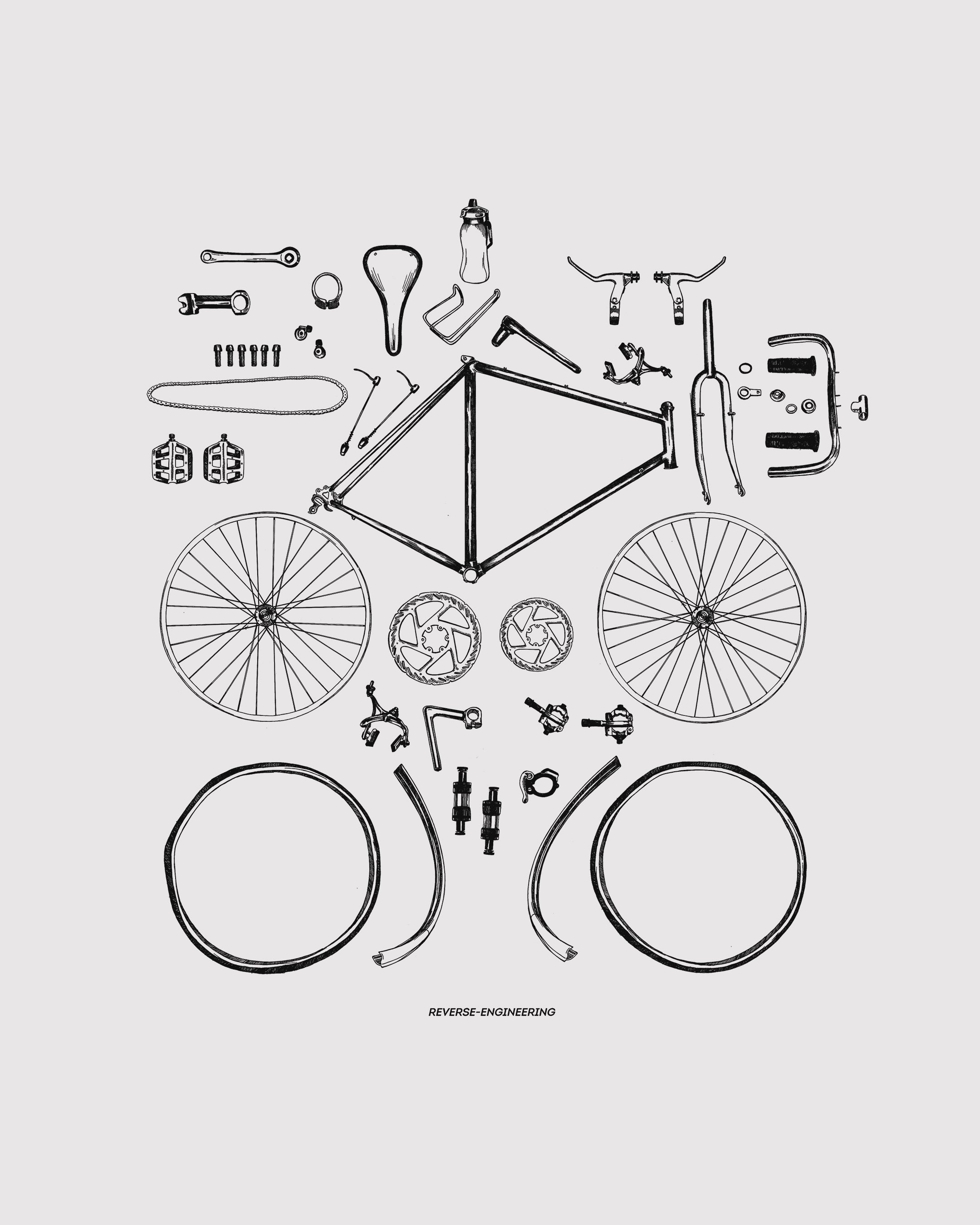 Dismantled Bike
