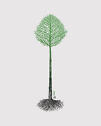 Reforest