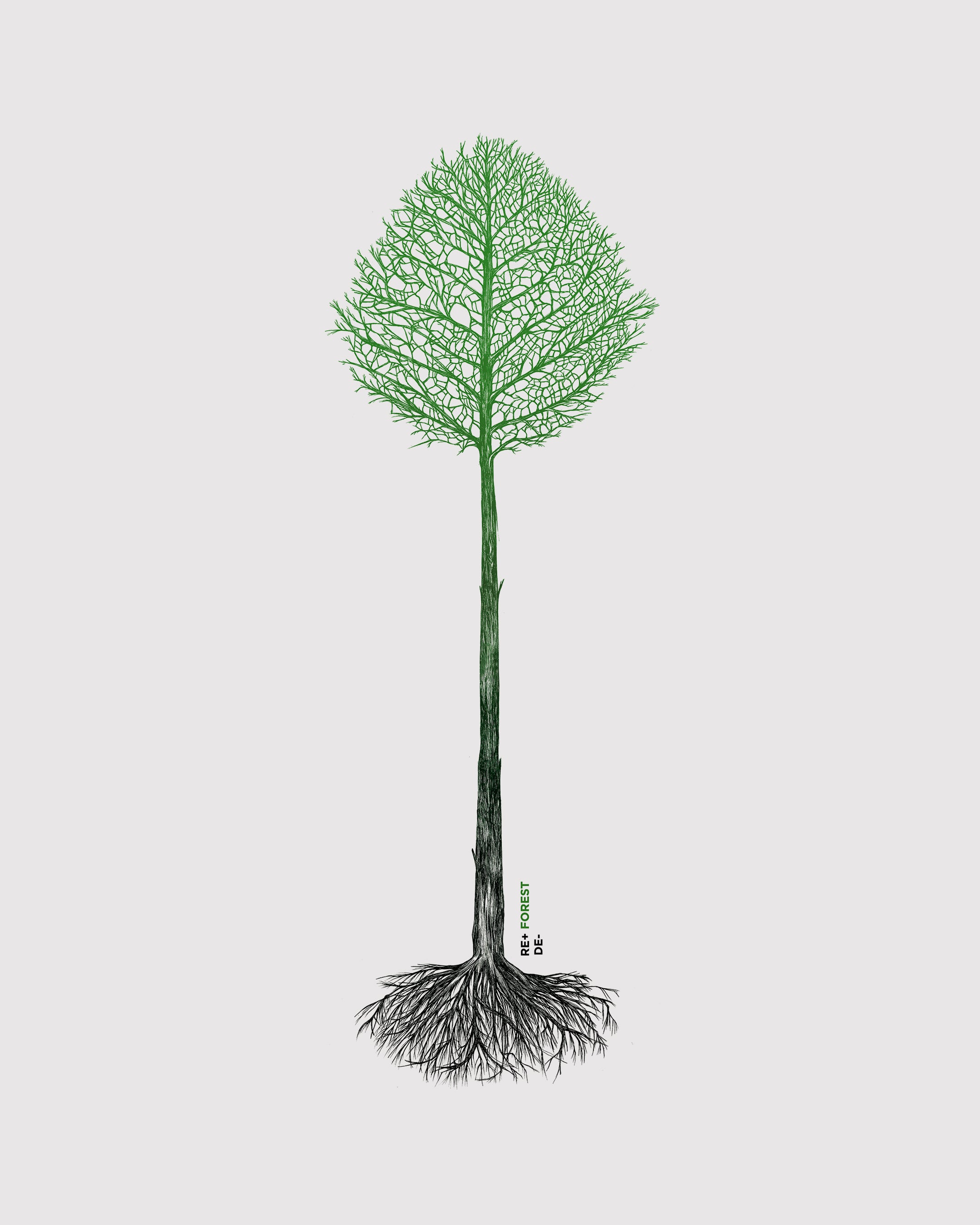 Reforest