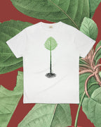 Reforest