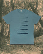 Reforestation