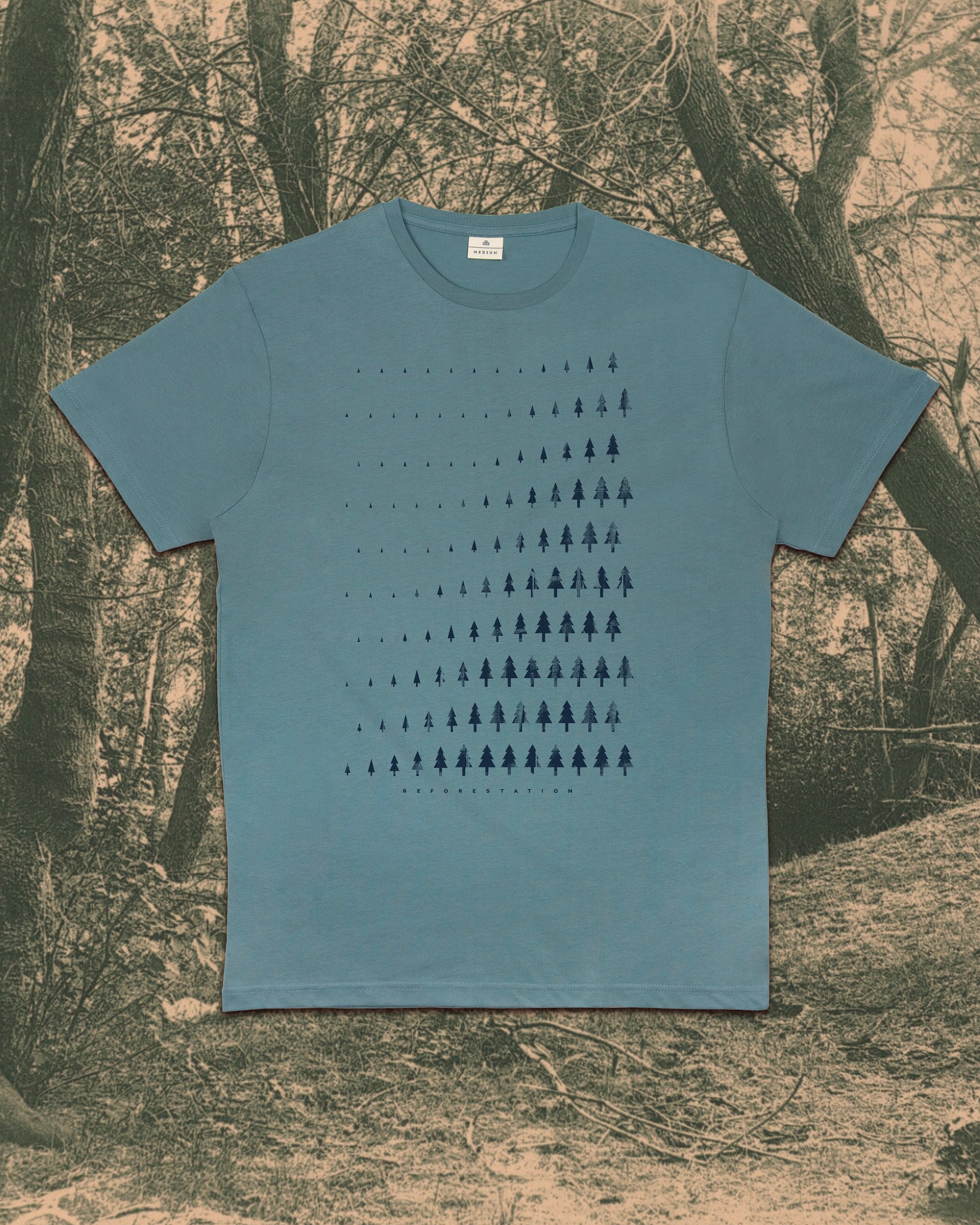 Reforestation
